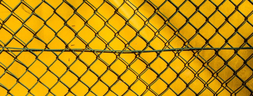 the-fence-428562_1920